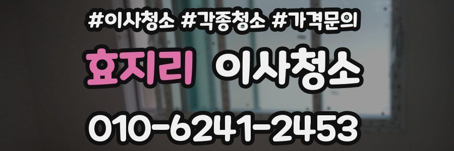 효지리 이사청소