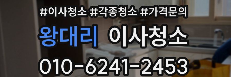 왕대리 이사청소