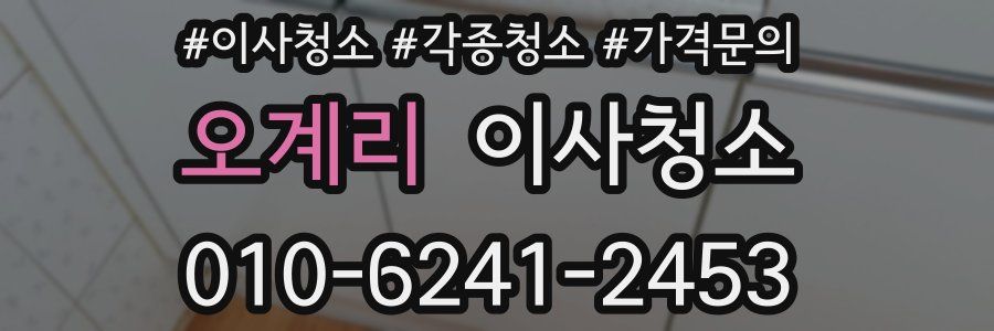 오계리 이사청소