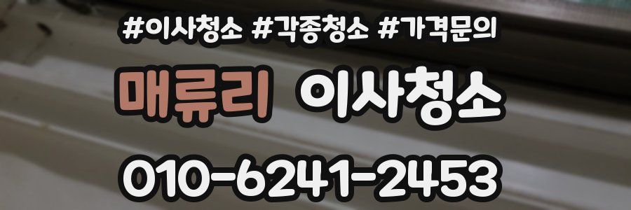 매류리 이사청소