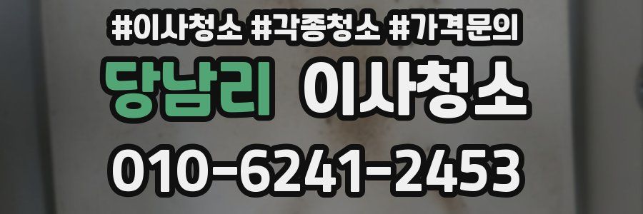 당남리 이사청소