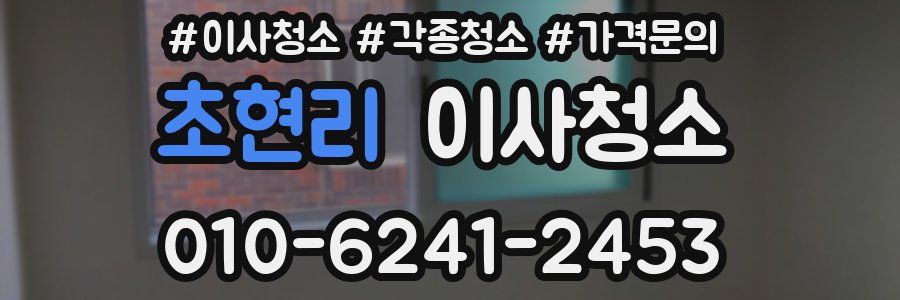 초현리 이사청소