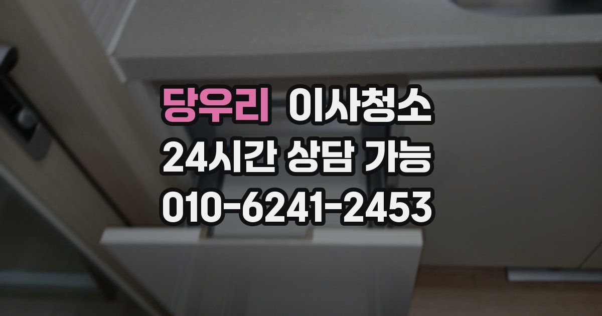 당우리 입주청소