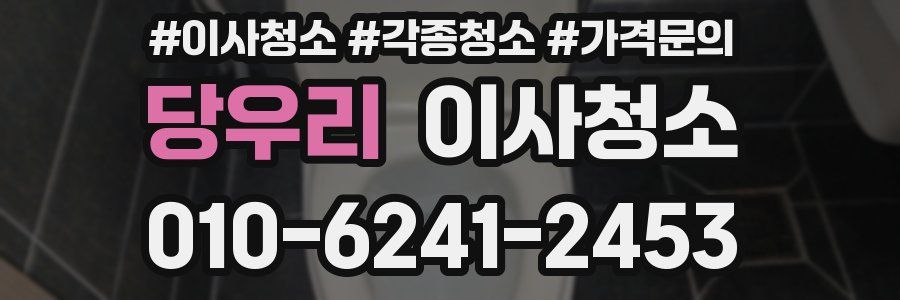 당우리 이사청소