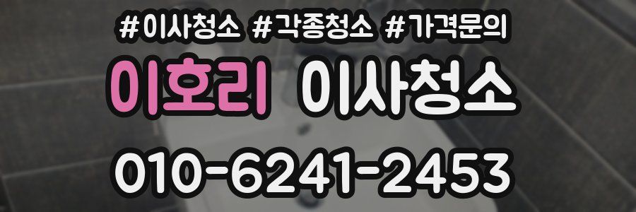 이호리 이사청소