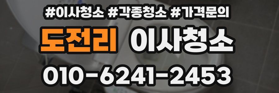 도전리 이사청소