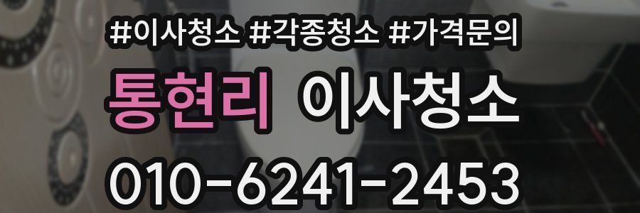 통현리 이사청소