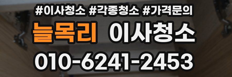 늘목리 이사청소