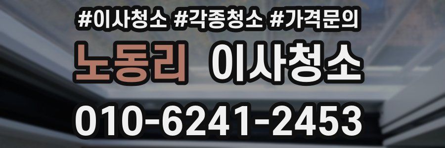 노동리 이사청소