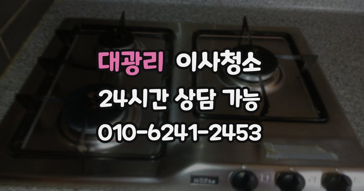 대광리 입주청소