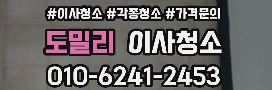 도밀리 이사청소