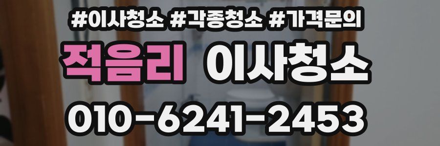 적음리 이사청소