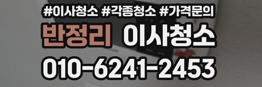 반정리 이사청소