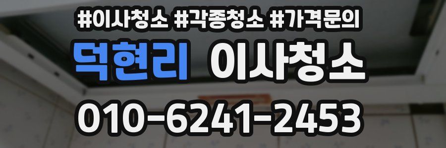 덕현리 이사청소