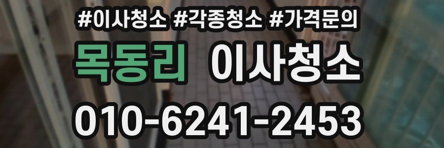 목동리 이사청소