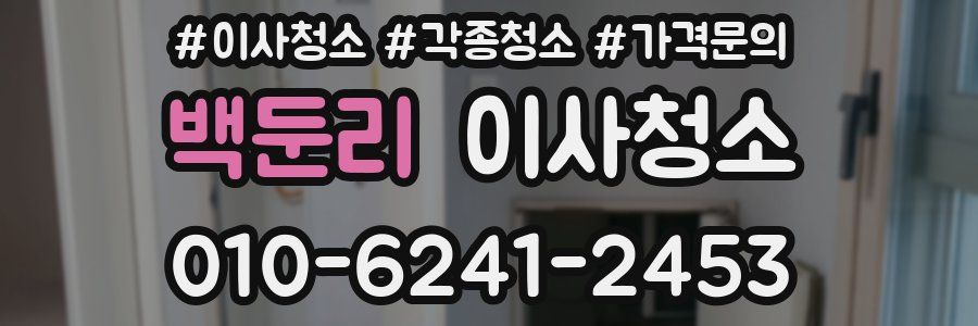 백둔리 이사청소