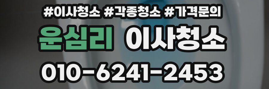 운심리 이사청소