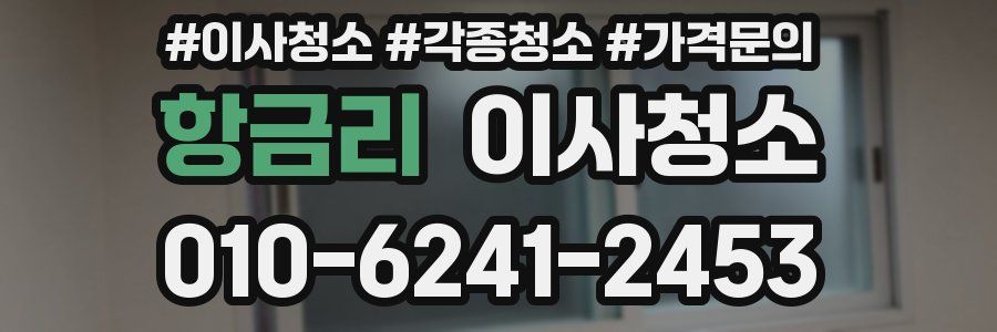 항금리 이사청소