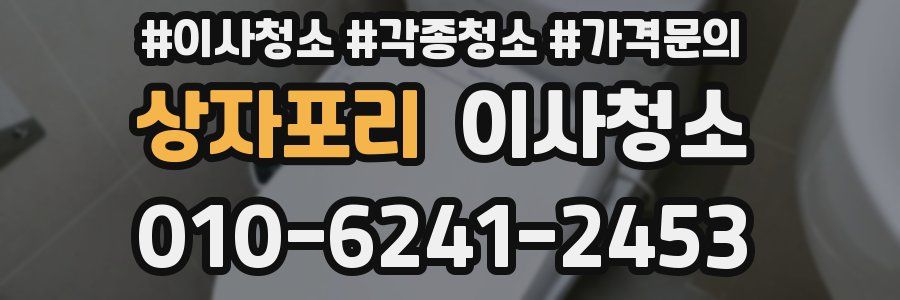 상자포리 이사청소