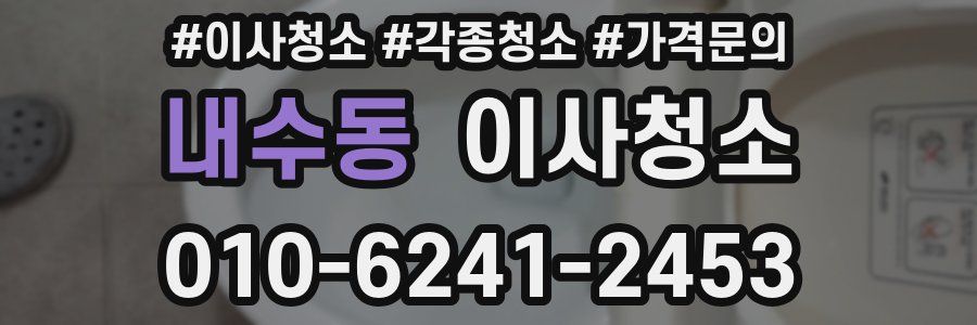 내수동 이사청소
