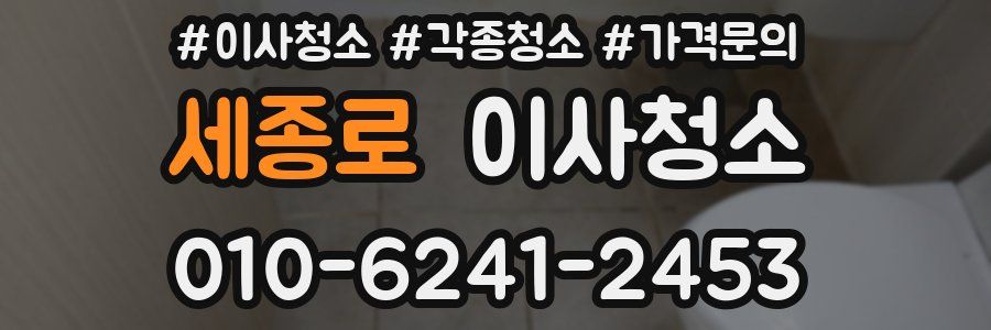 세종로 이사청소