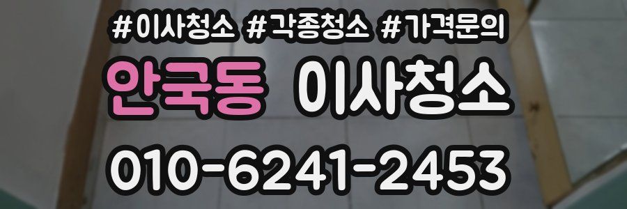 안국동 이사청소