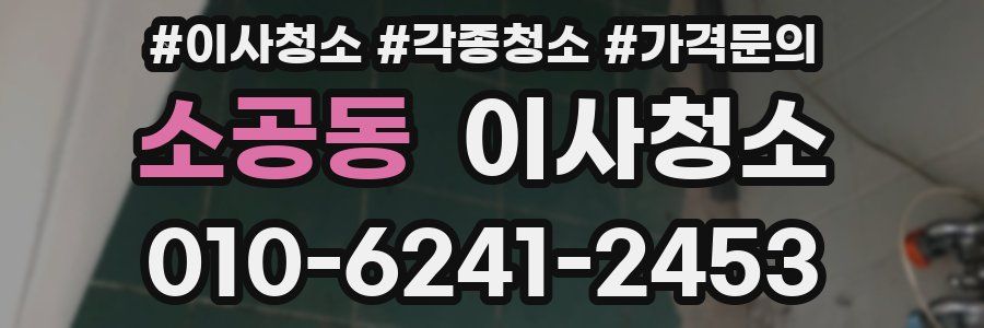소공동 이사청소