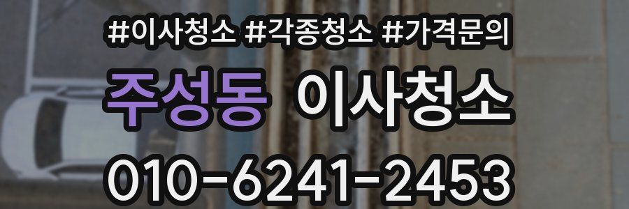 주성동 이사청소