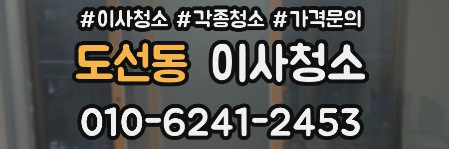 도선동 이사청소