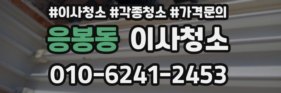 응봉동 이사청소