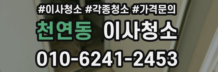 천연동 이사청소