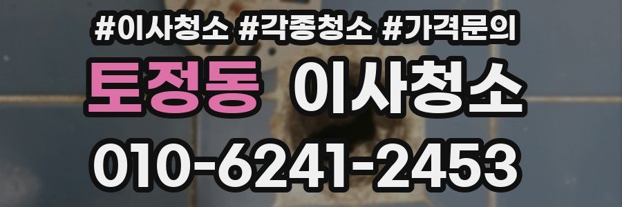 토정동 이사청소