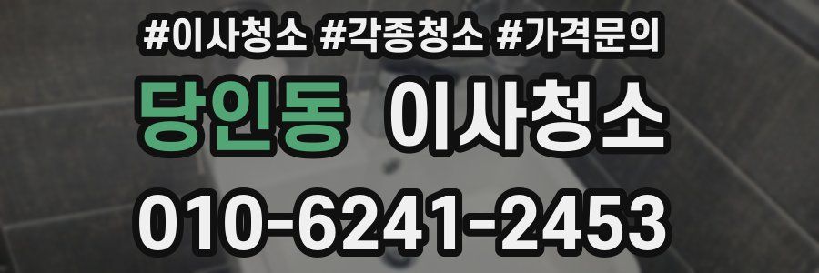 당인동 이사청소