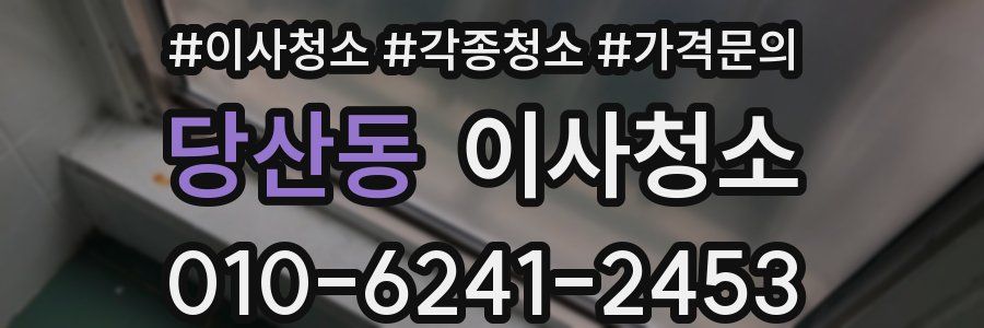 당산동 이사청소