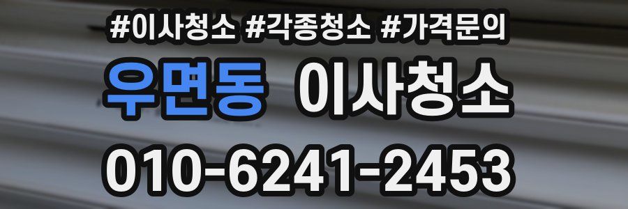 우면동 이사청소