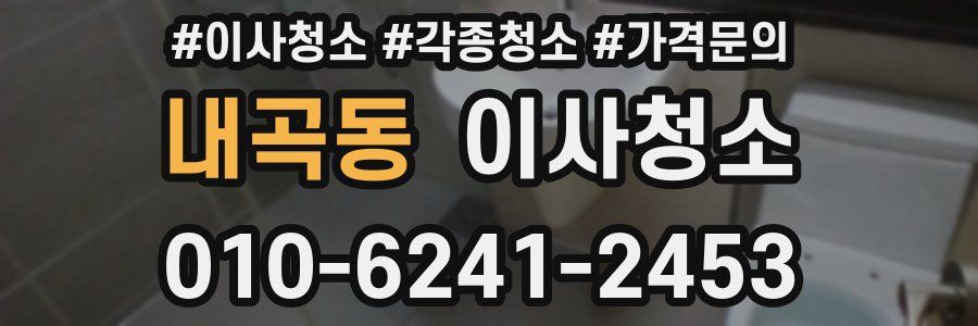 내곡동 이사청소