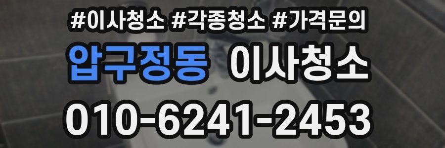 압구정동 이사청소