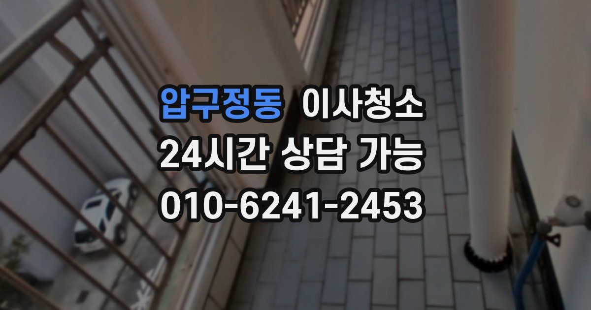 압구정동 입주청소