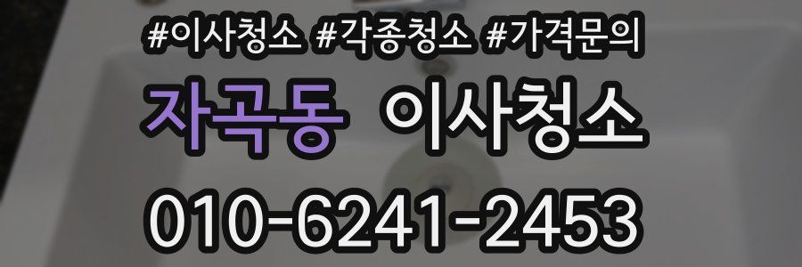 자곡동 이사청소