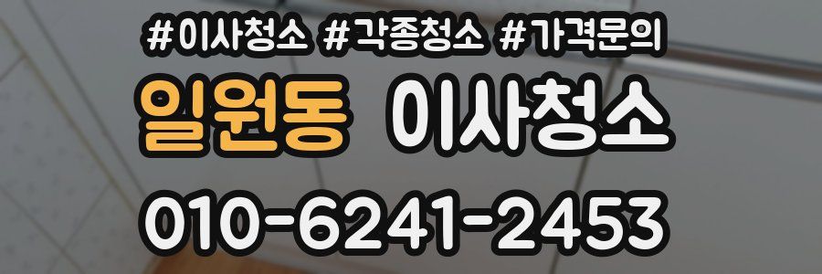 일원동 이사청소