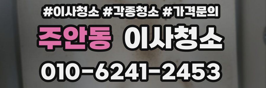 주안동 이사청소