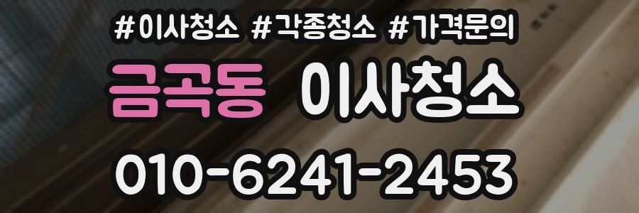 금곡동 이사청소