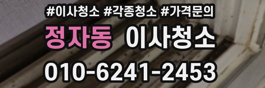 정자동 이사청소