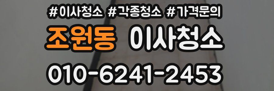 조원동 이사청소