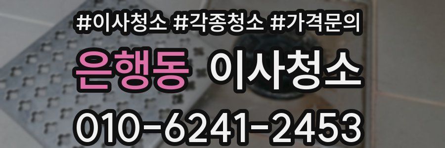 은행동 이사청소