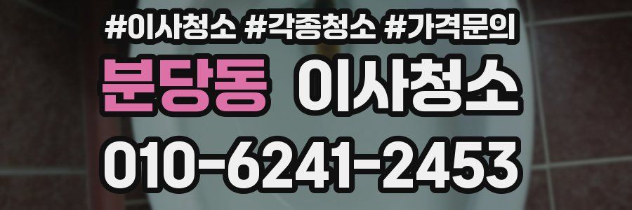 분당동 이사청소