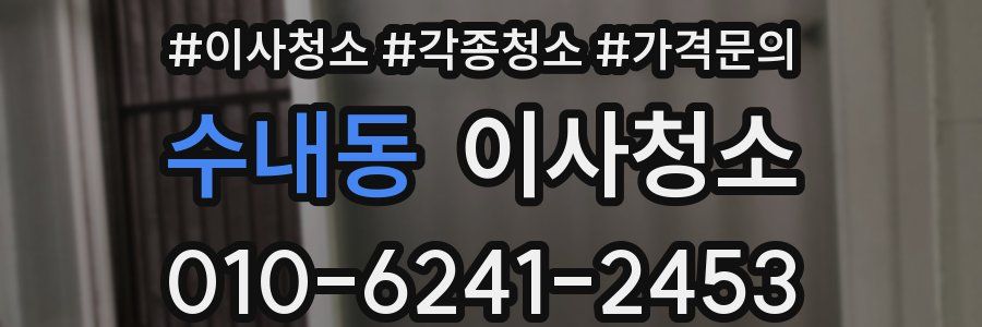 수내동 이사청소