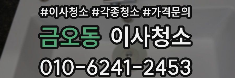 금오동 이사청소