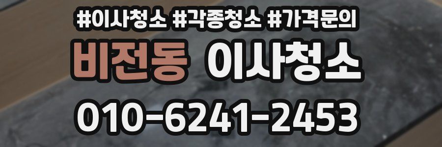 비전동 이사청소
