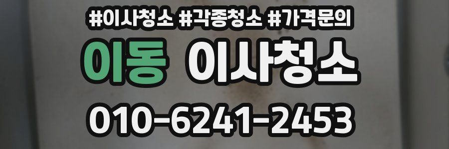 이동 이사청소